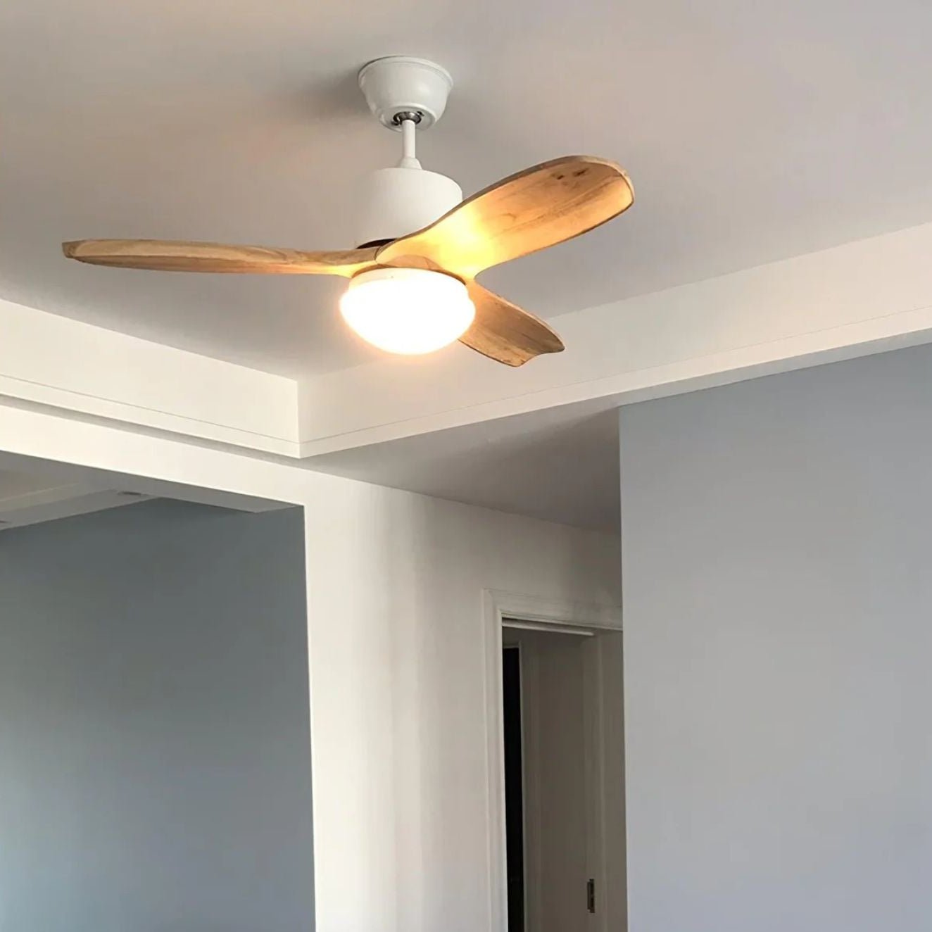 Zera Ceiling Fan Light
