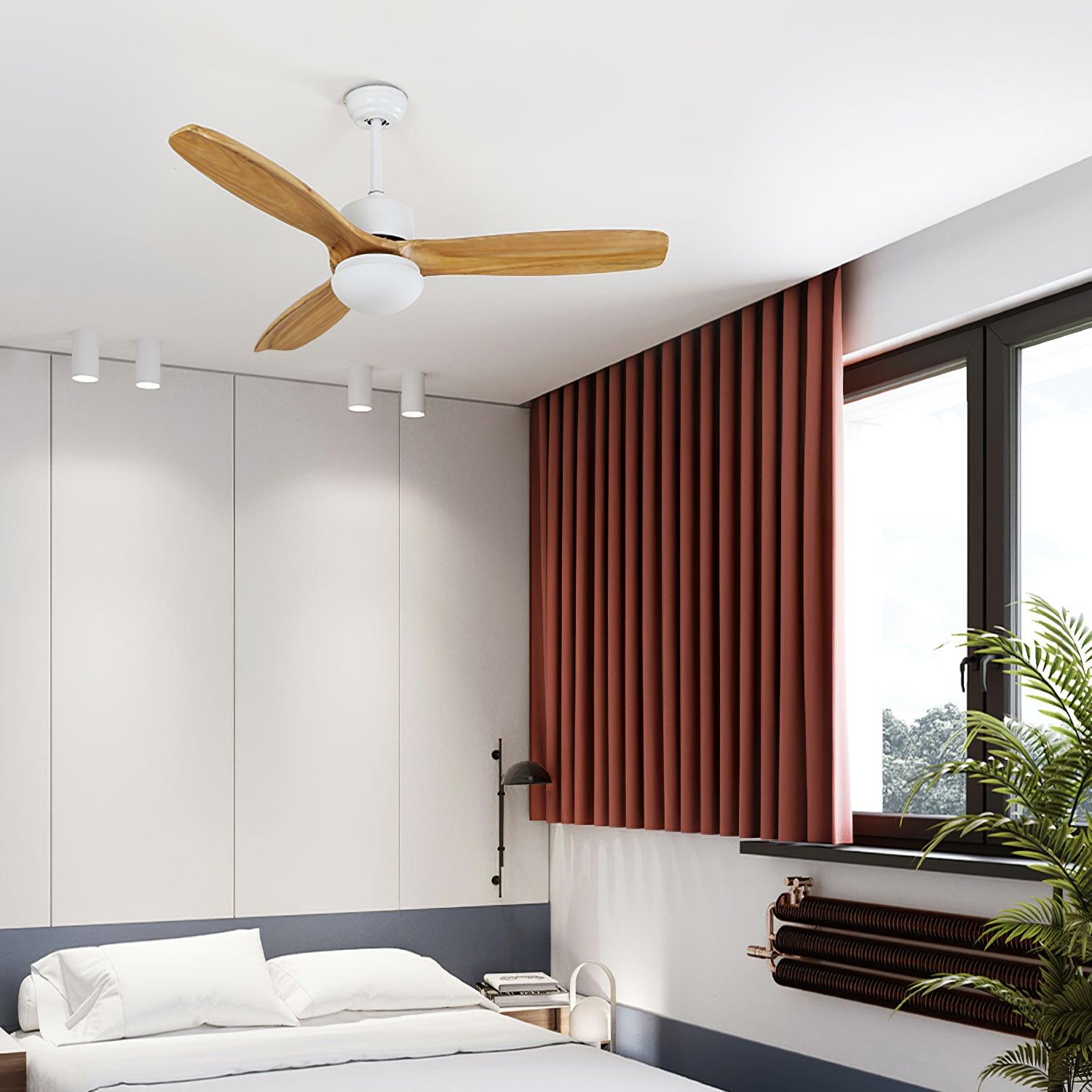 Zera Ceiling Fan Light