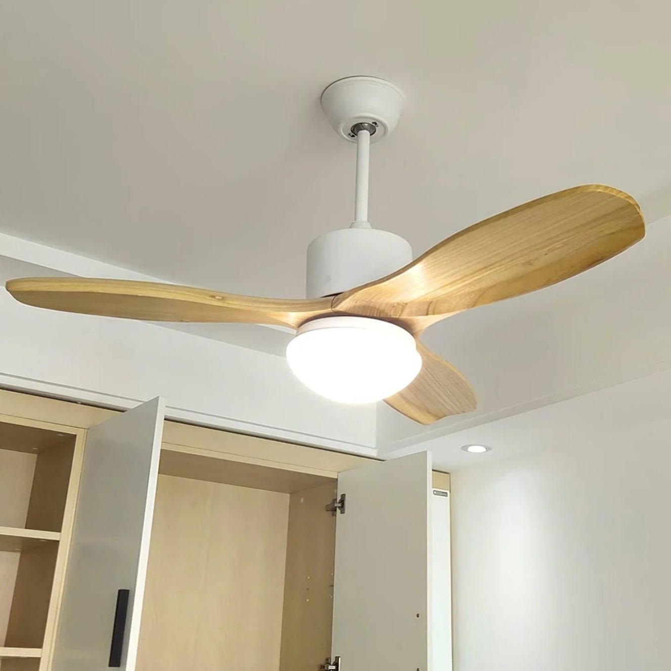 Zera Ceiling Fan Light