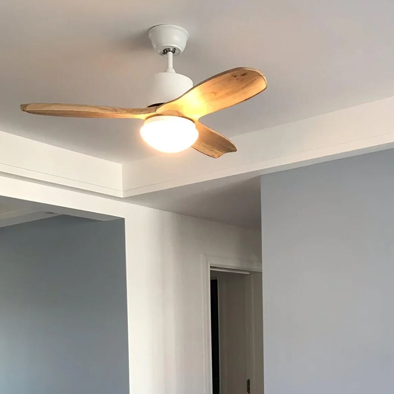 Zera Ceiling Fan Light