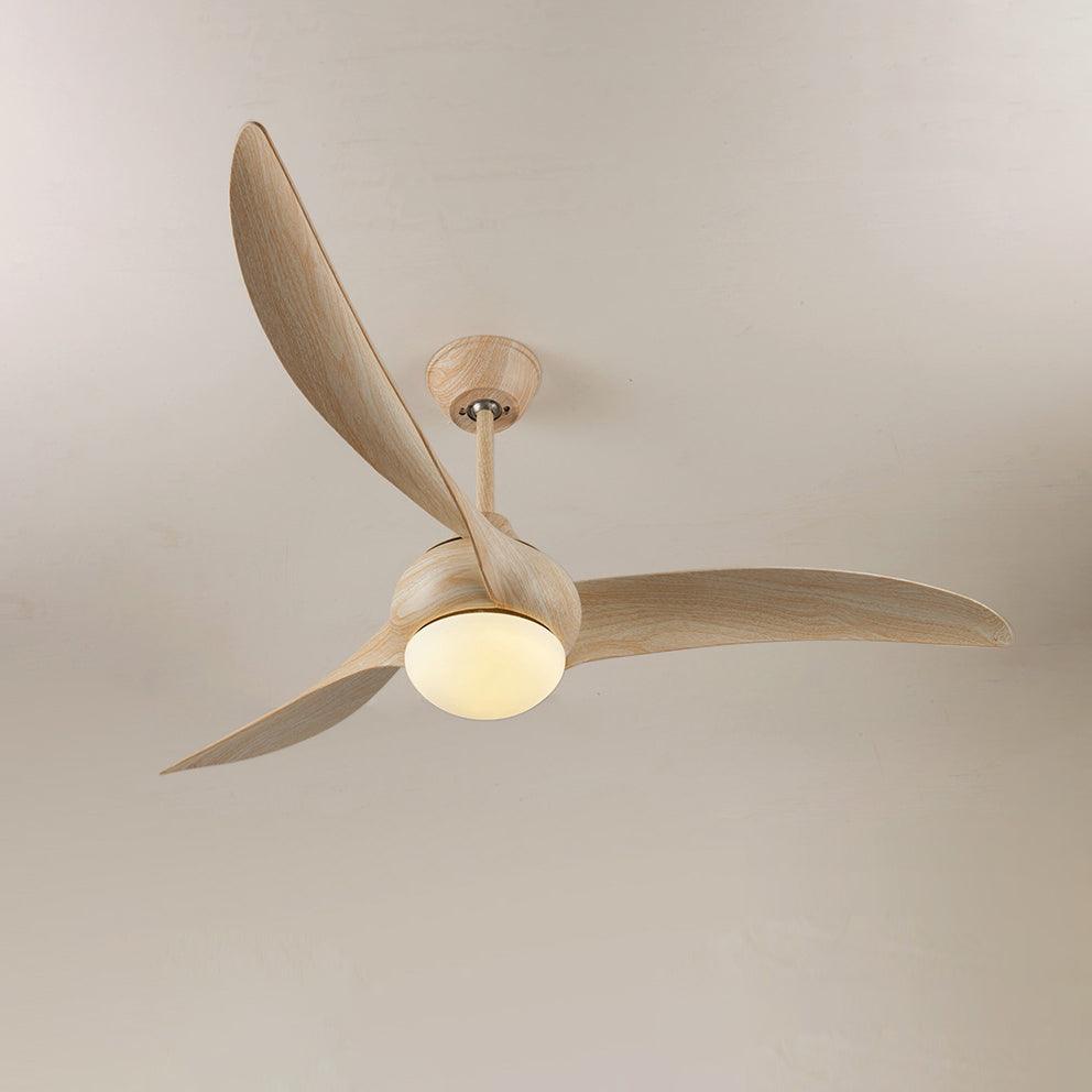 Elinor Ceiling Fan Light