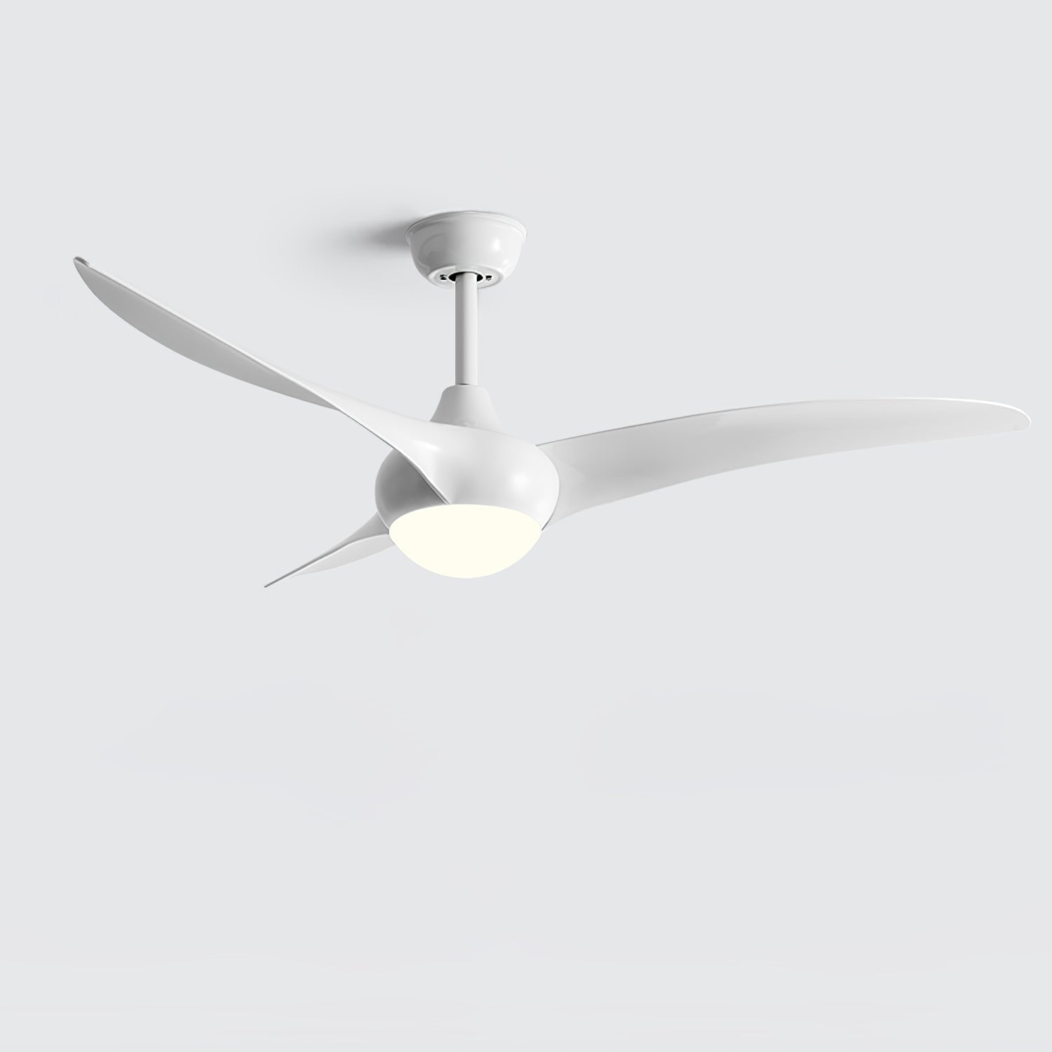 Elinor Ceiling Fan Light